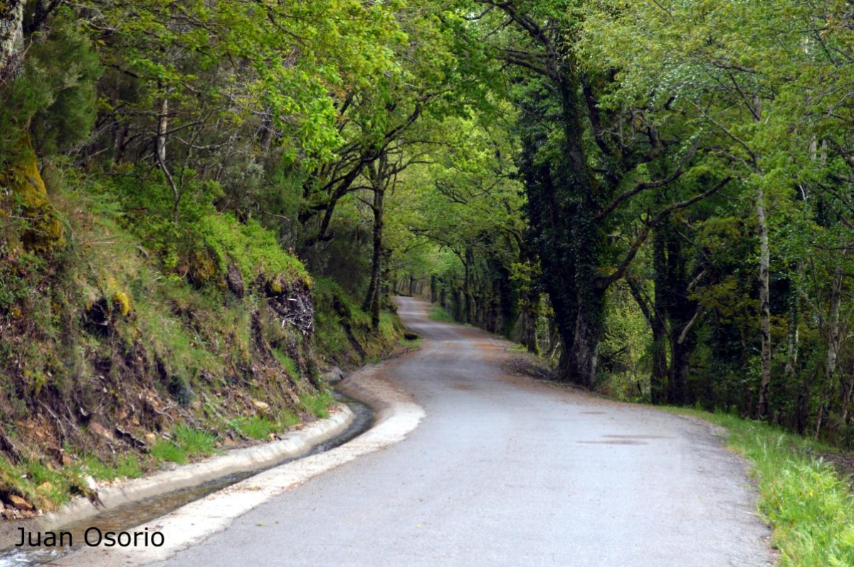 Ribeira Sacra: 