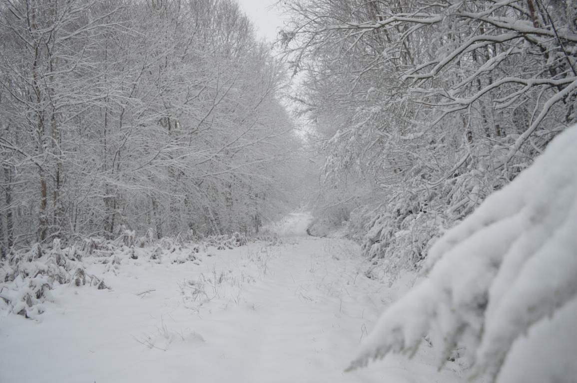 Neve: Serra do Burgo