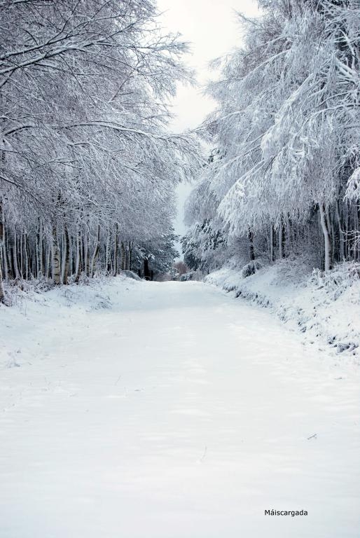 Neve: Salgueiros Ribeira Sacra. Castro Caldelas. Ourense byJOM