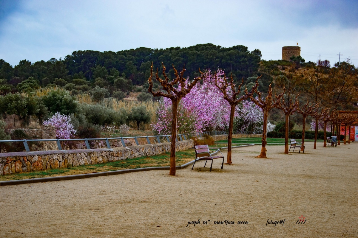 Anuncia la primavera