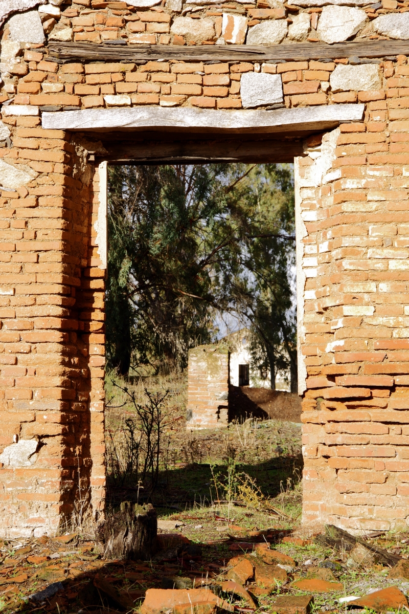 Cultura de Ladrillo (I)