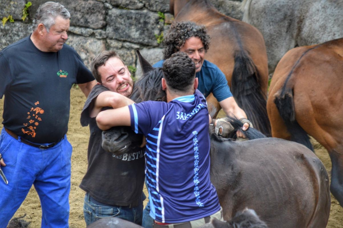 Rapa das bestas de Sabucedo DPLF