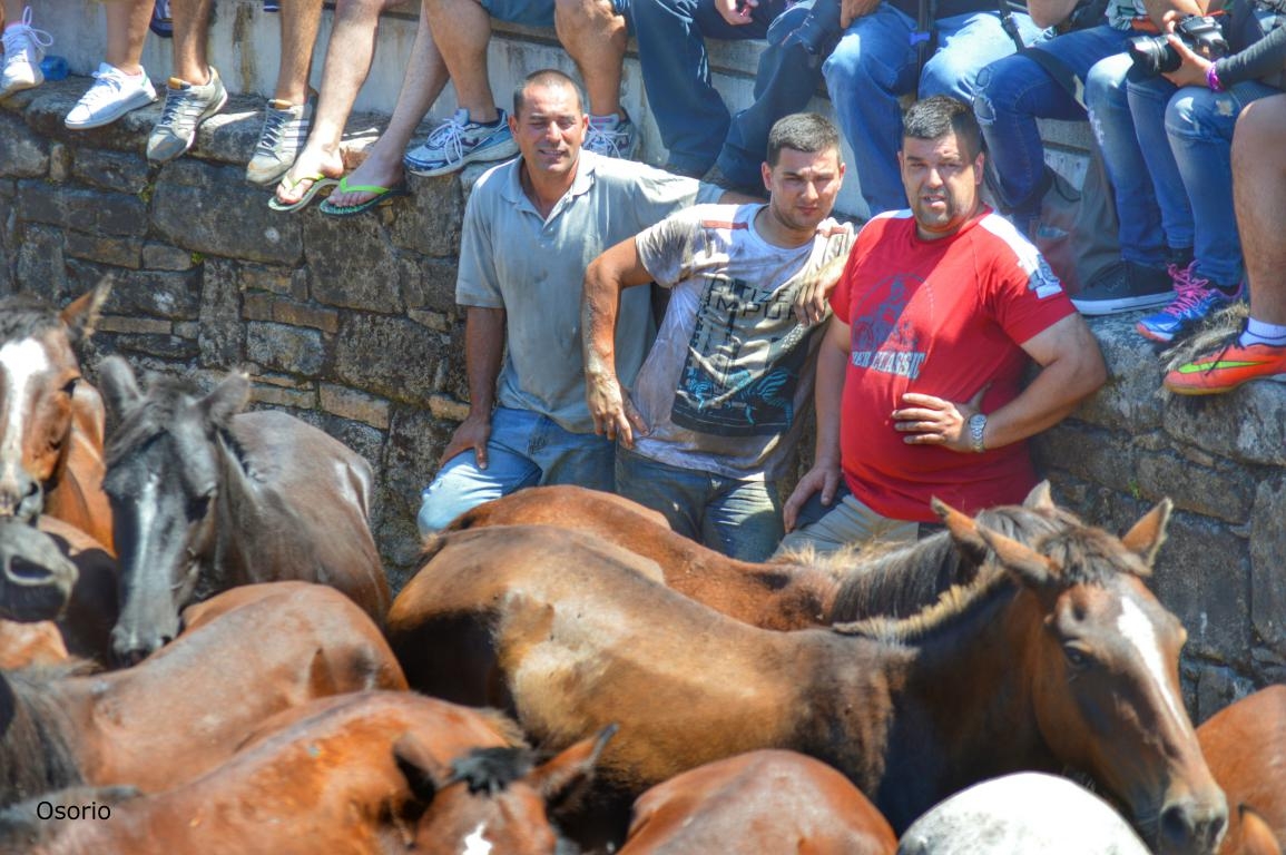 Rapa das Bestas de Sabucedo