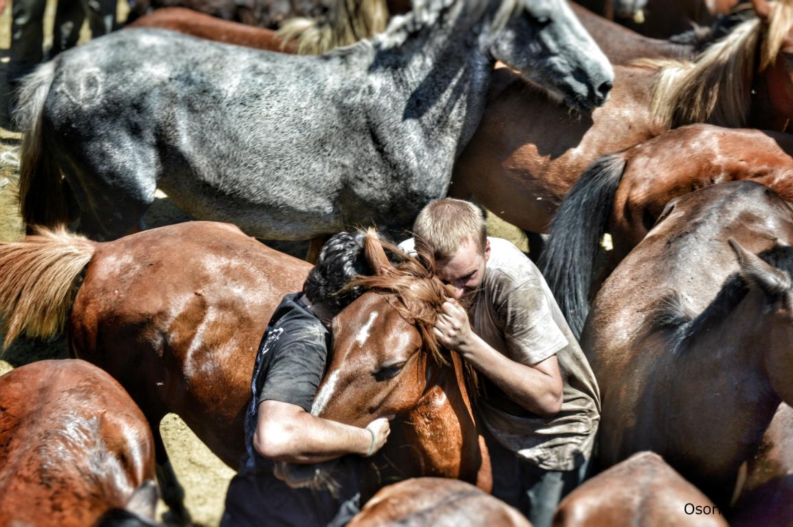 Rapa das bestas de Sabucedo