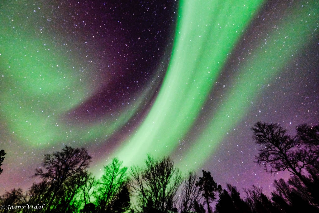 AURORA BOREAL