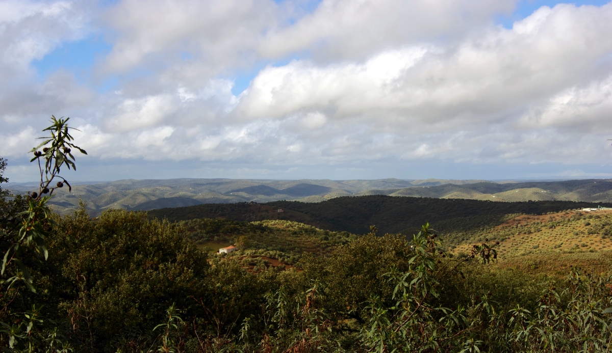 Nubes en Sierra Morena I