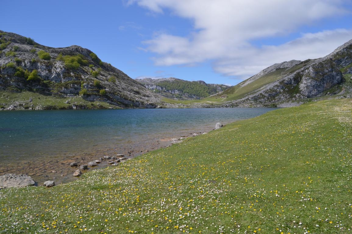 Parque Nacional Picos de Europa: Lagos de Covadonga (Asturias). Lago Enol