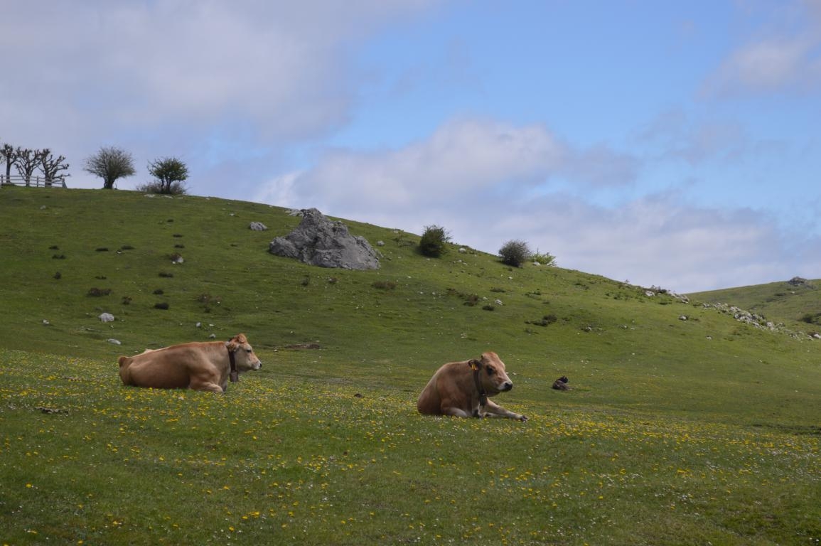 Parque Nacional Picos de Europa: Lagos de Covadonga (Asturias)