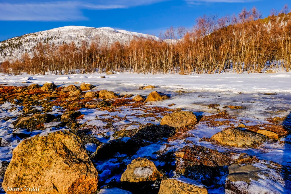 Ocres nevados