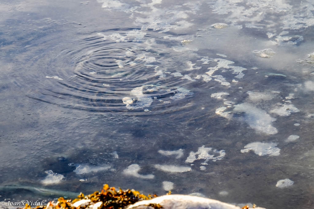 EL LATIDO DEL HIELO