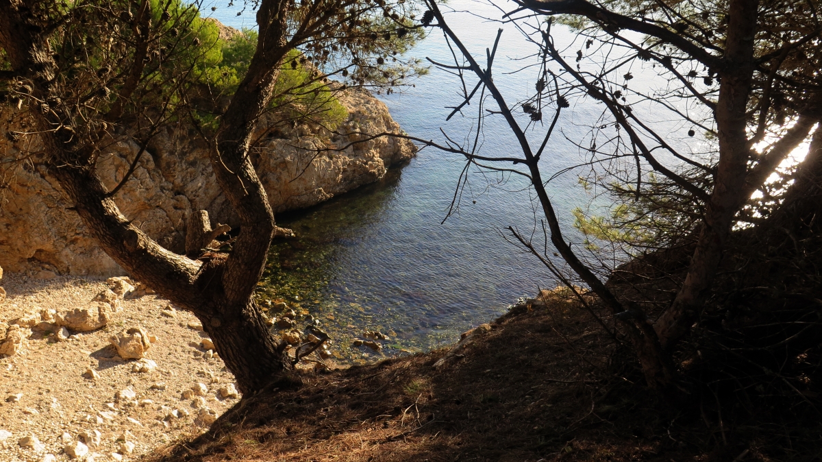 Caleta en L\'Escala