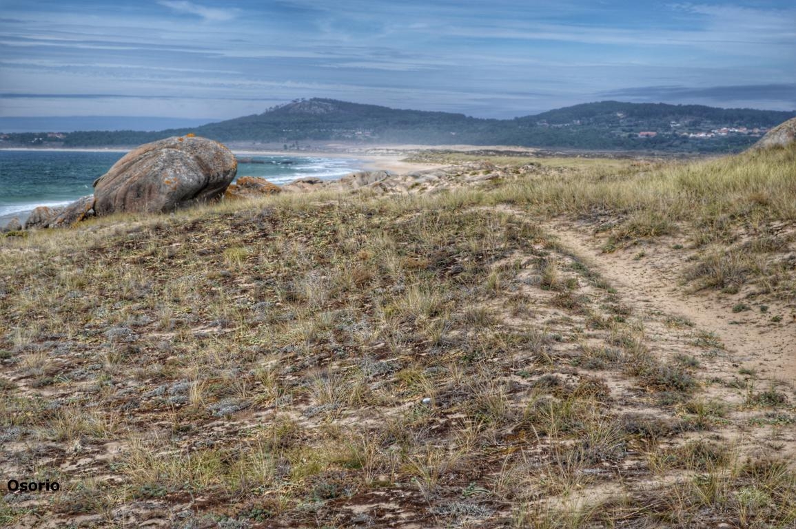 Parque Natural das  Dunas de Corrubedo (Riveira/ Ribeira, Galicia)