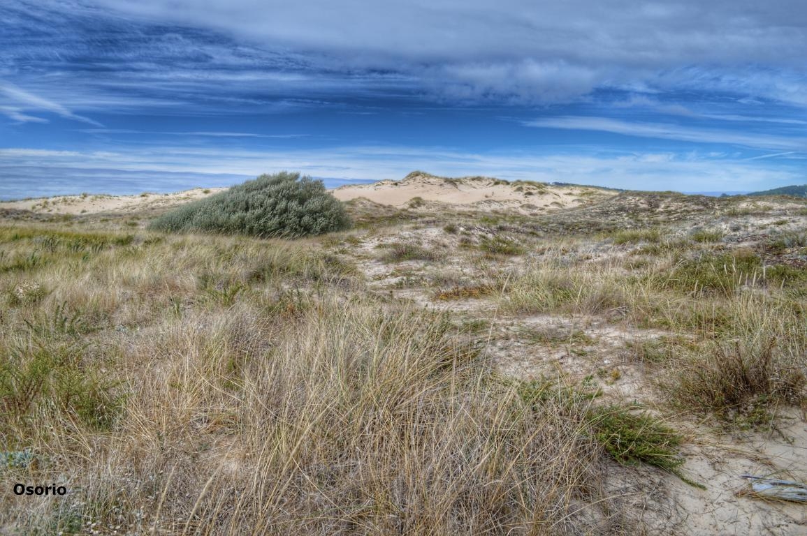 Parque Natural das  Dunas de Corrubedo (Riveira/ Ribeira, Galicia) DPLF