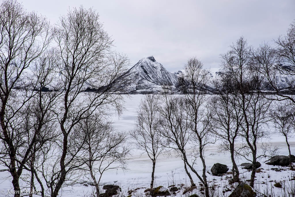 DESPERTAR EN BLANC I NEGRE