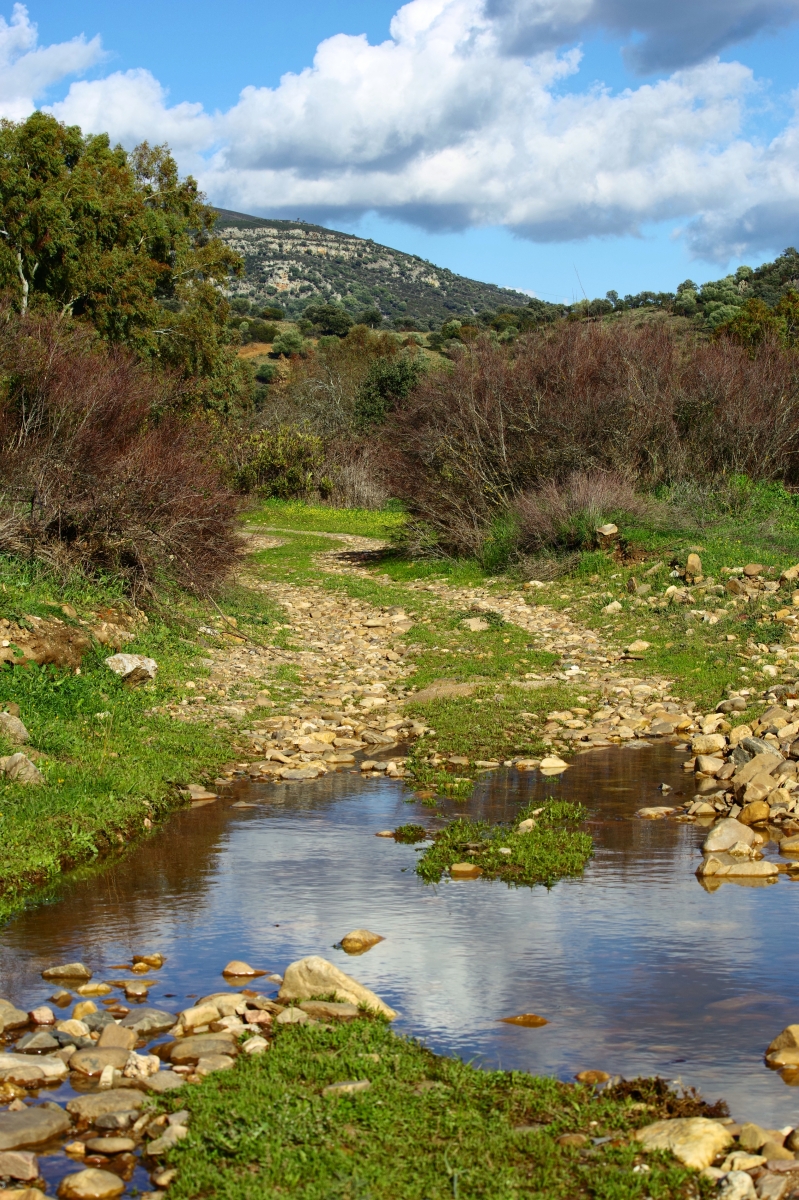 Camino al Molino