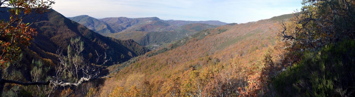Devesa da Rogueira. O Courel, Lugo