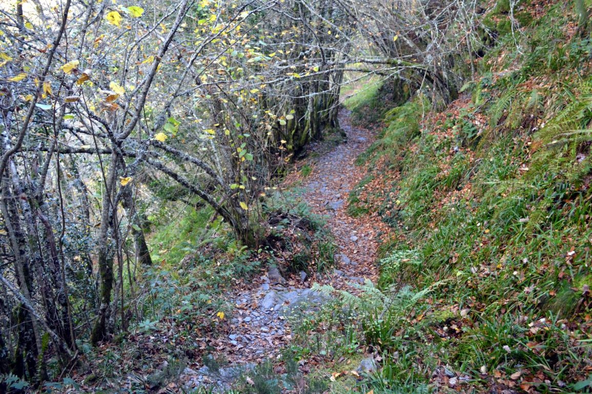 A Devesa da Rogueira. O Courel, Lugo