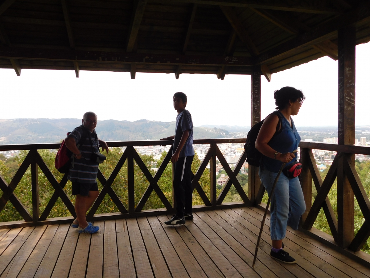 Mirador en cerro elol