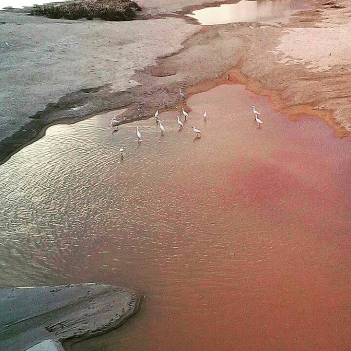 Rio