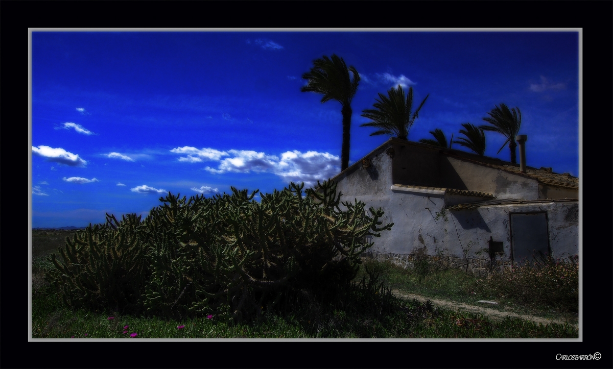 SAL, VIENTO Y TIEMPO