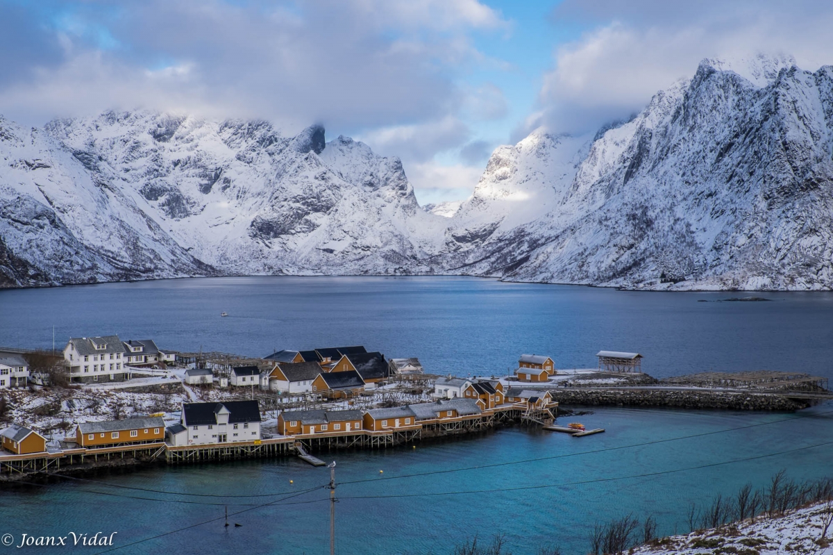 REINE