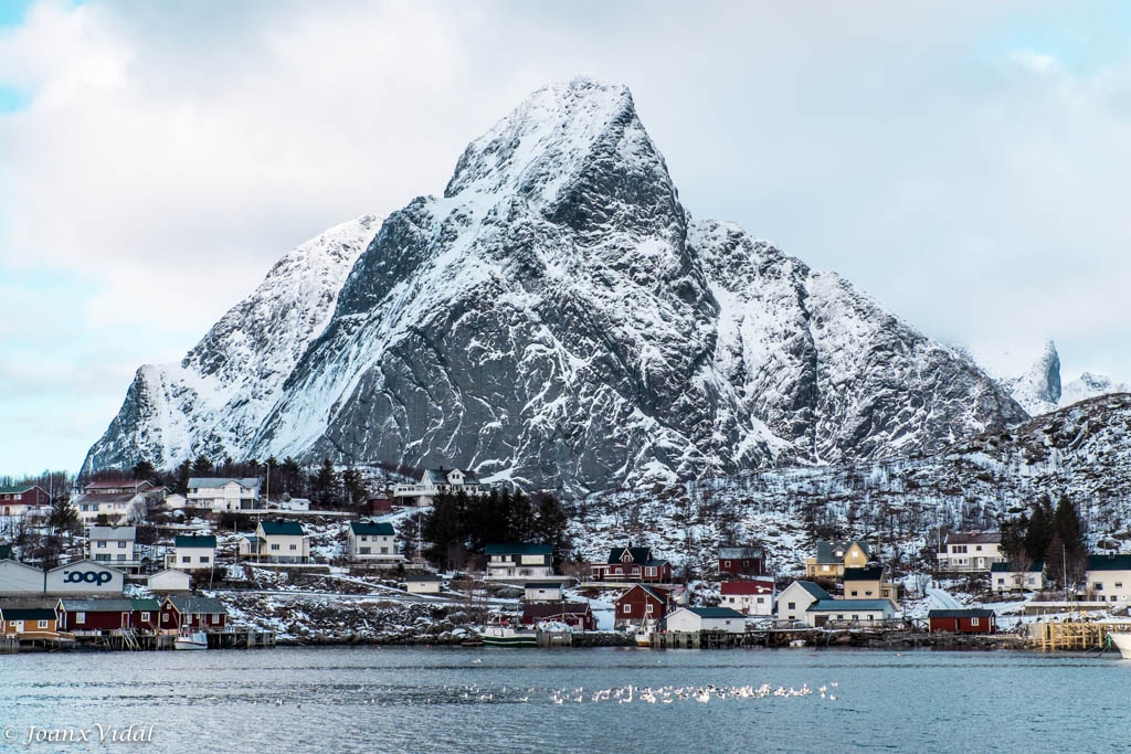 REINE