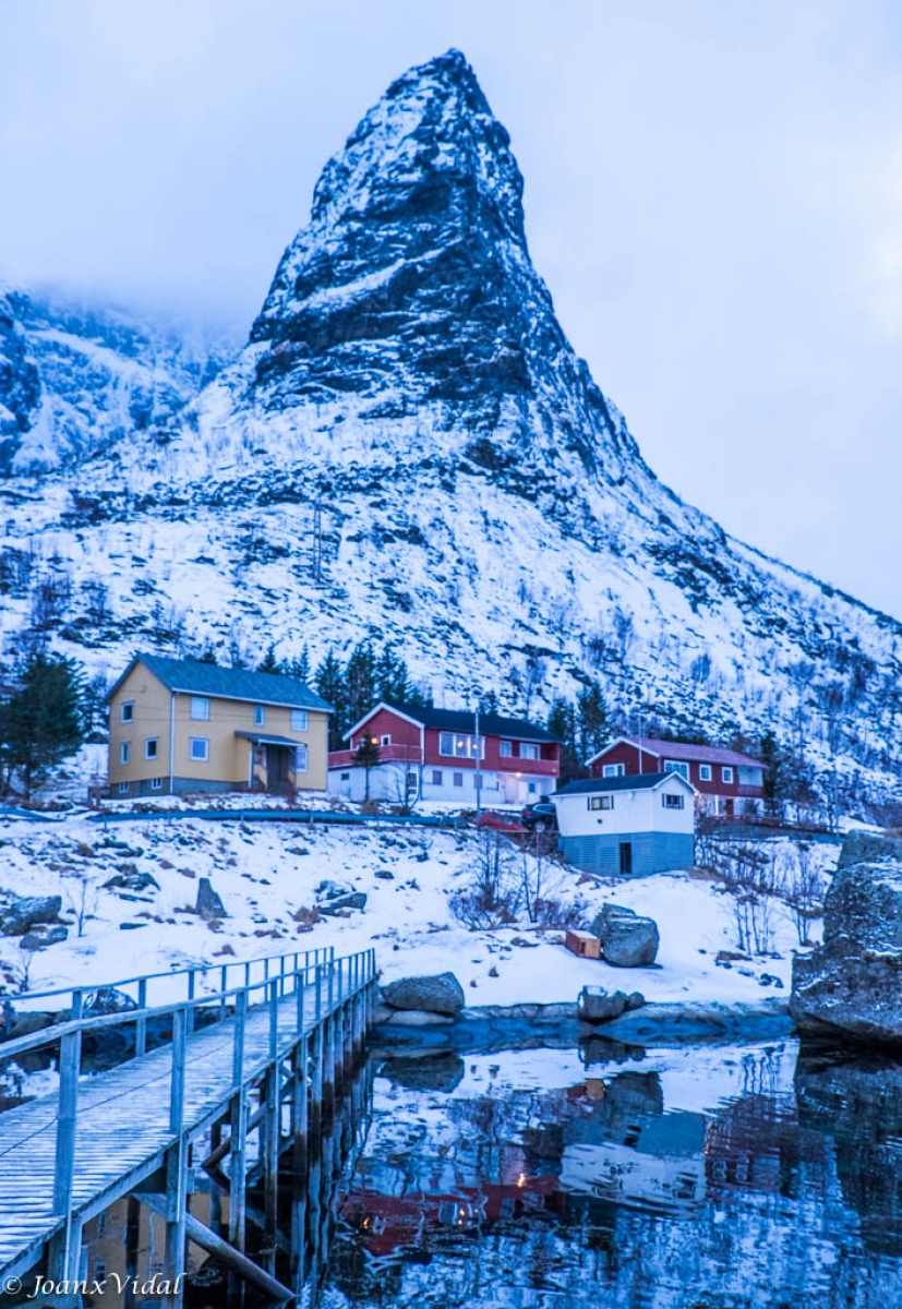 REINE