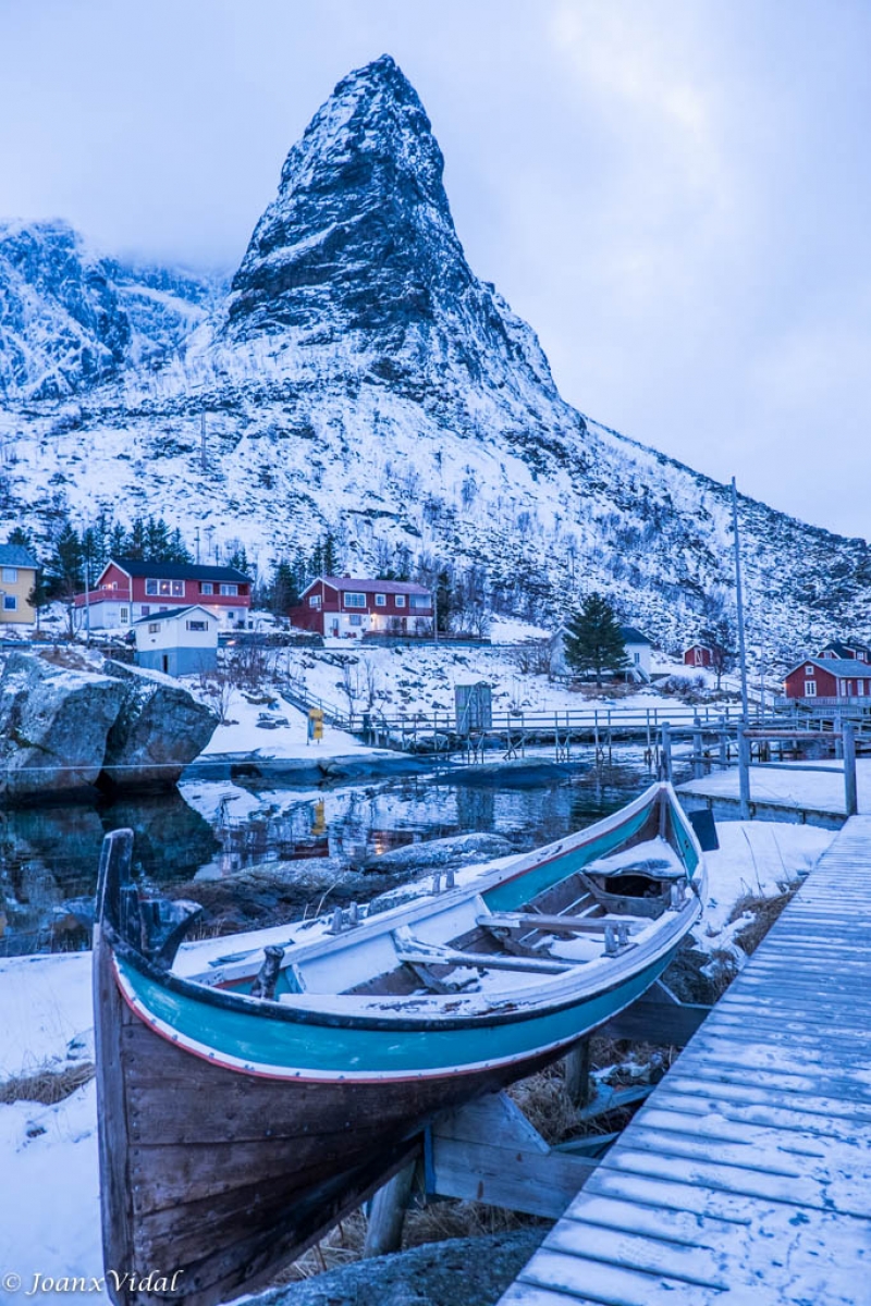 REINE