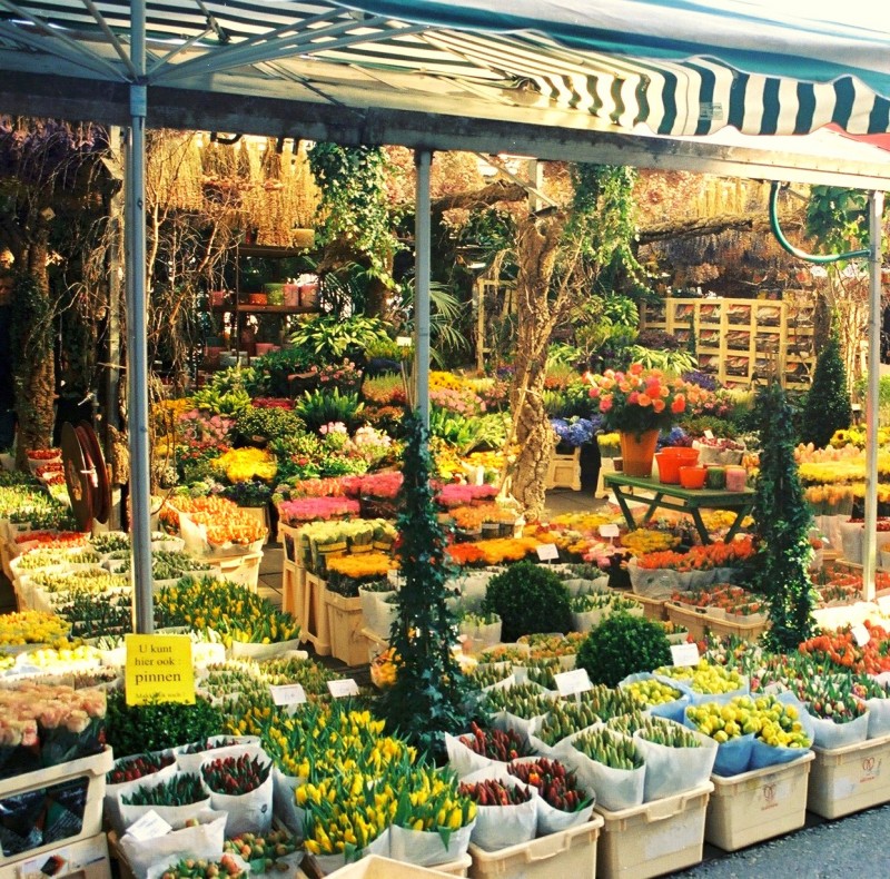 Mercado de flores