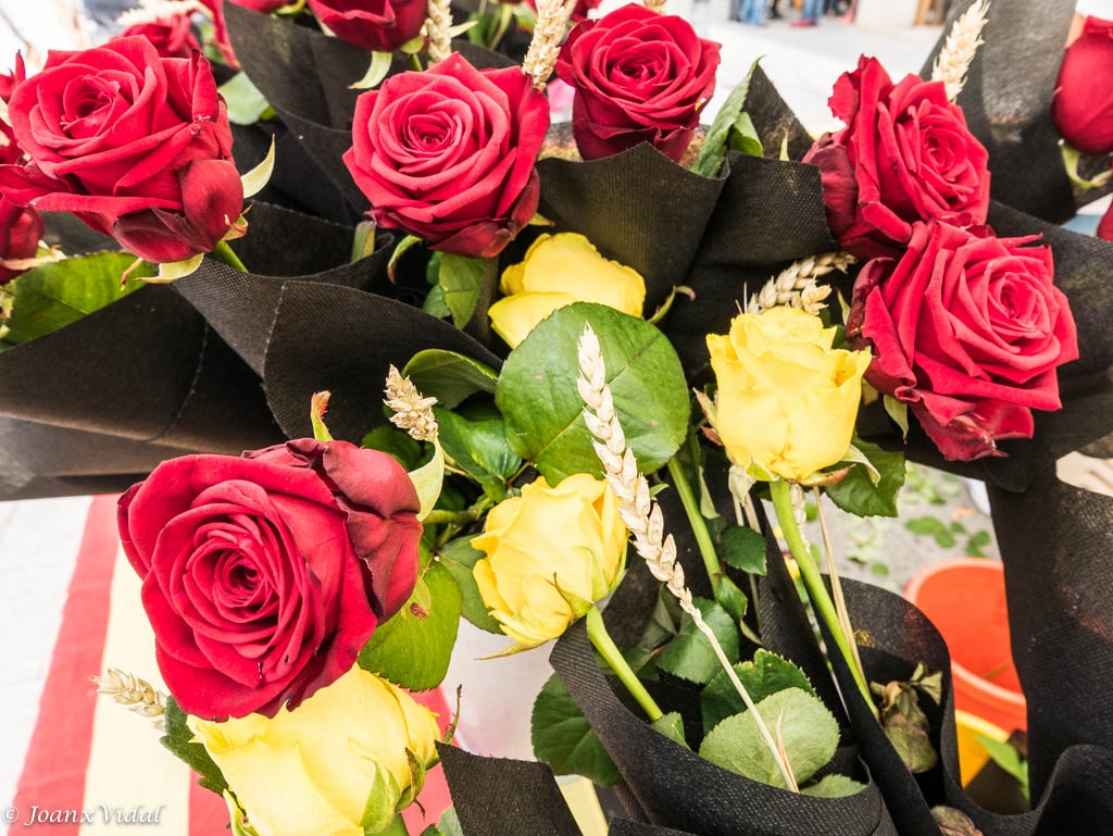 DIADA DE SANT JORDI: Solidaritat