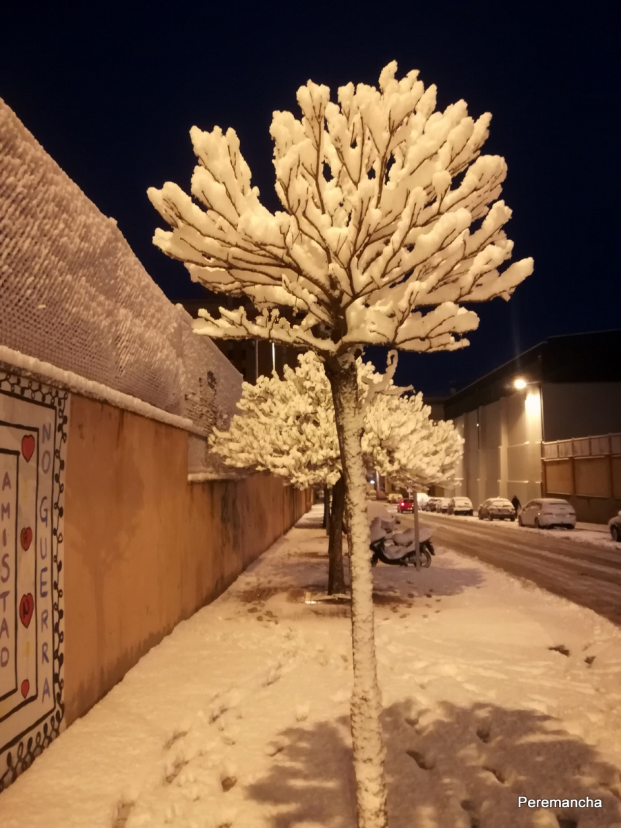 nevar en Teruel