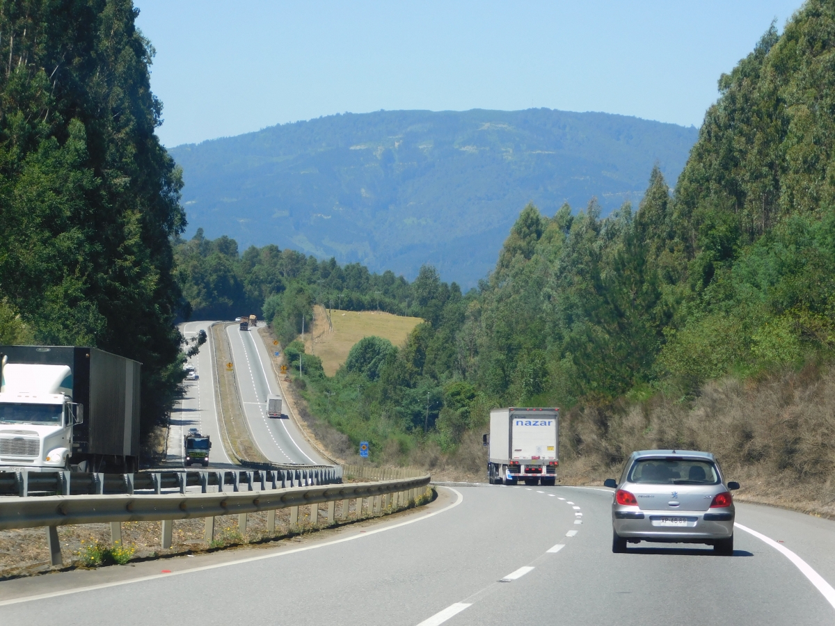 Viaje largo a Valdivia