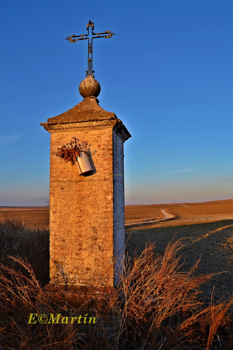 Cruz del campo