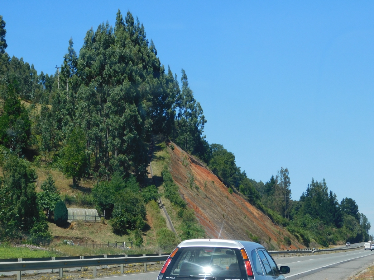 Seguimos en la carretera