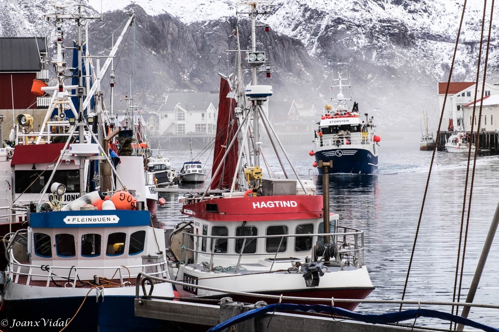 LLEGADA AL PUERTO DE HENNINGSVAER