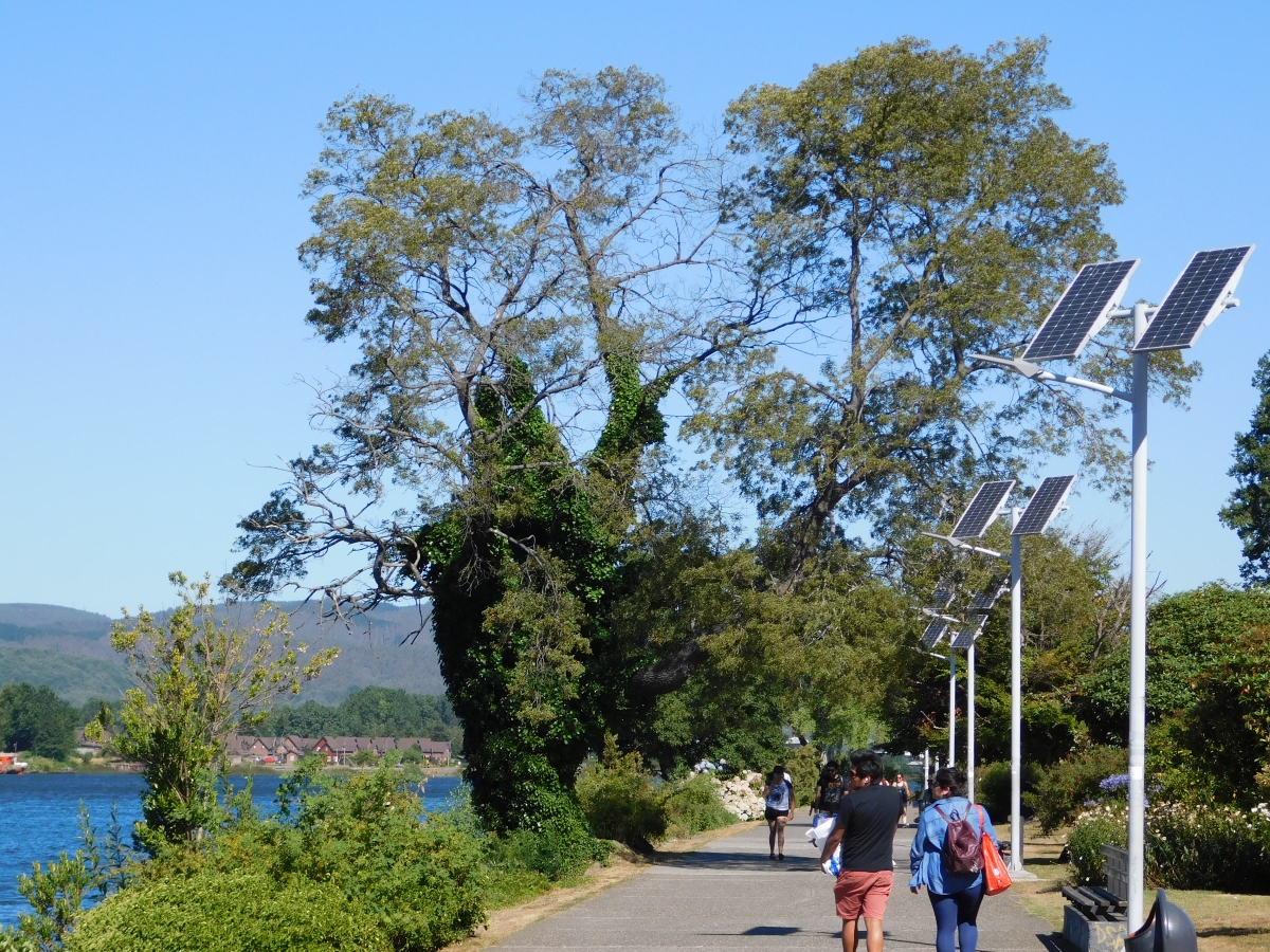 Paseo por la costanera