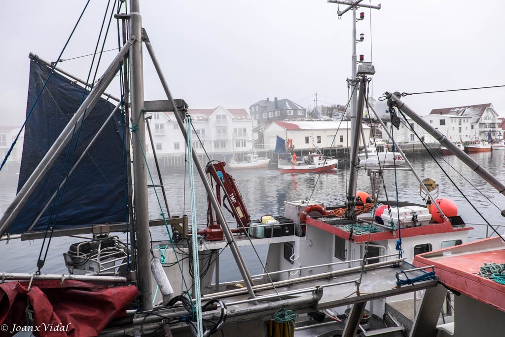 INCENDIO EN ALMACEN DE PESCADO