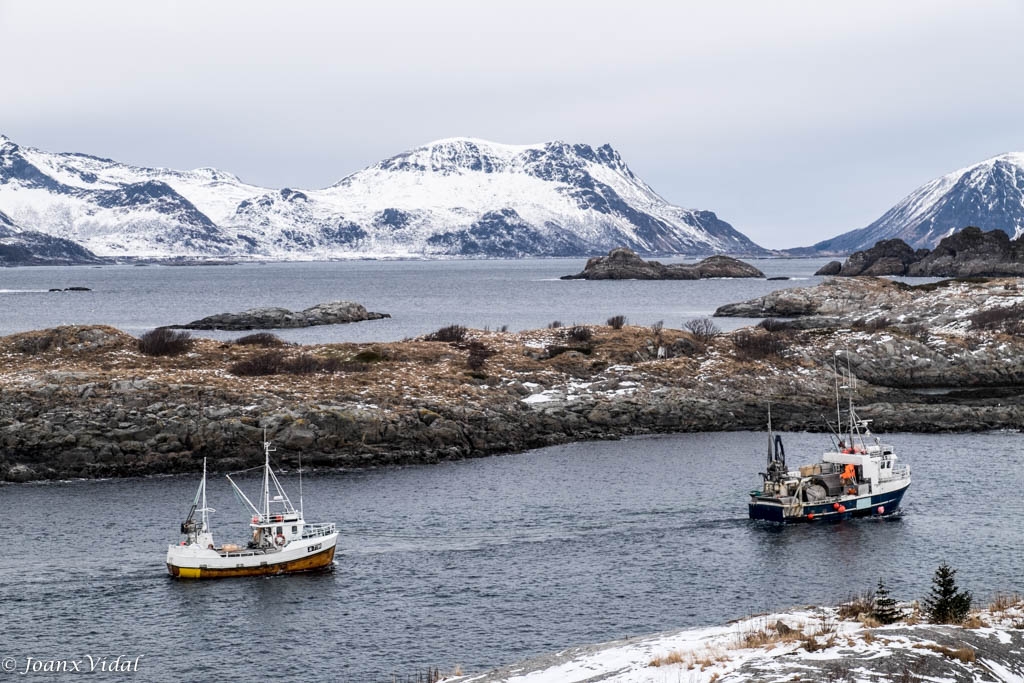 BARCOS DE PESCA. HENNINGSVAER