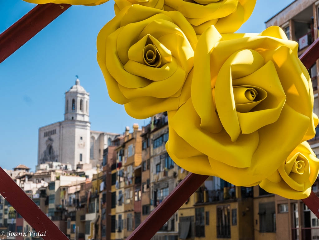 GIRONA TEMPS DE FLORS