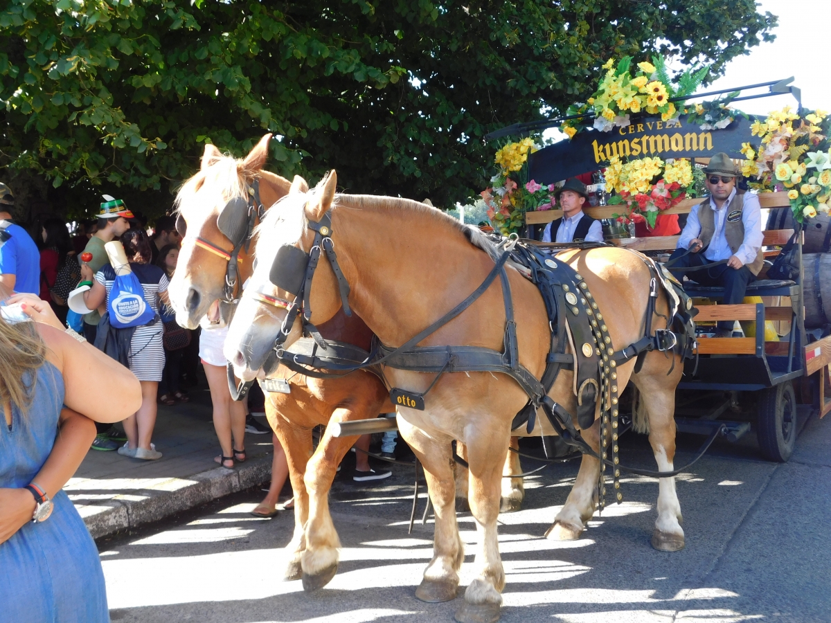 Even the horses have their names