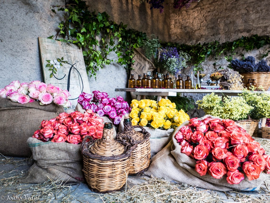 BODEG FLORAL