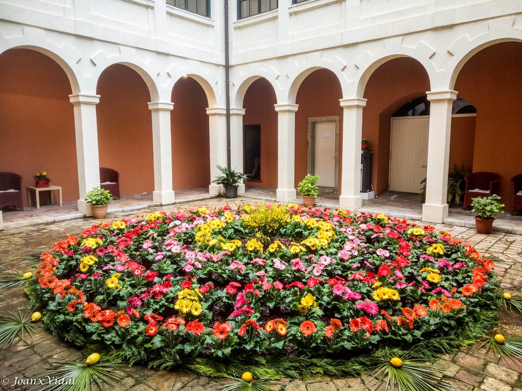 PATIO FLORAL