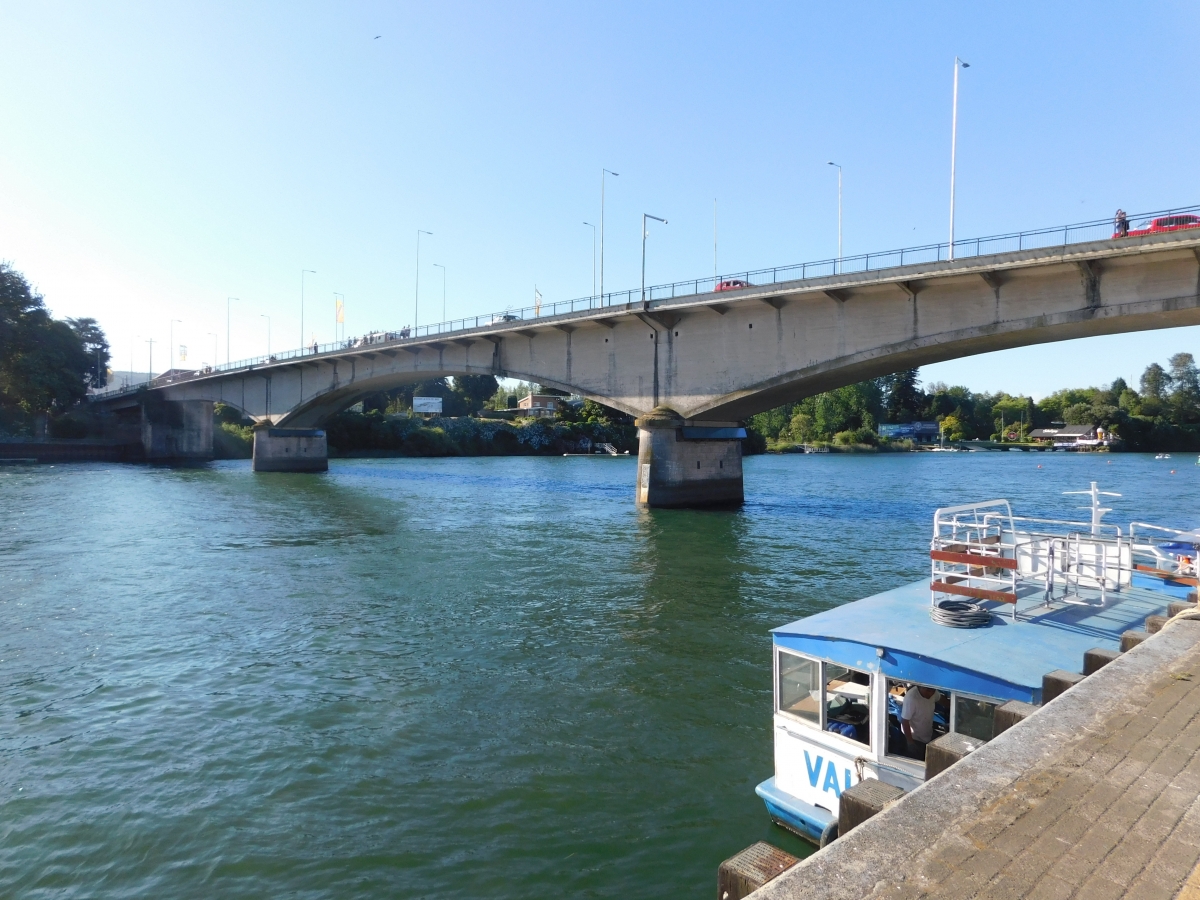 Vista completa del puente