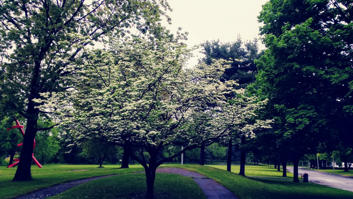 Aire libre