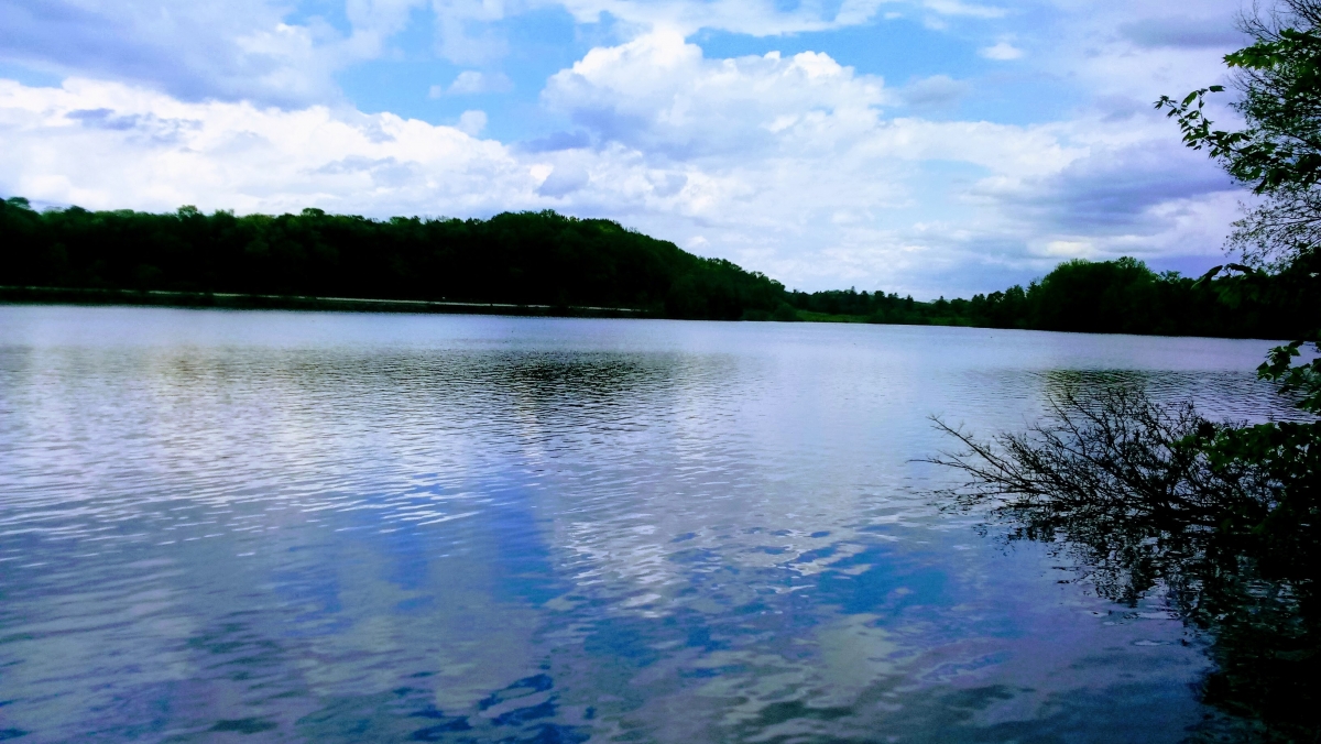 Blue Marsh lake