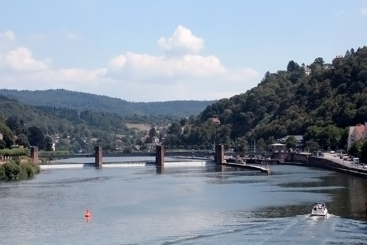 Neckar en Heidelberg