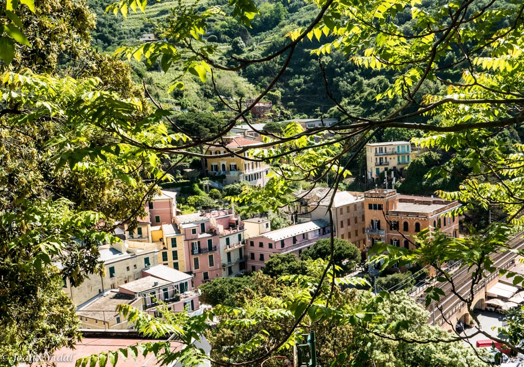 MONTEROSSO