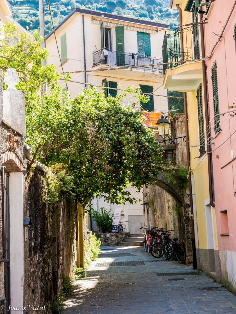 CALLE de Monterosso