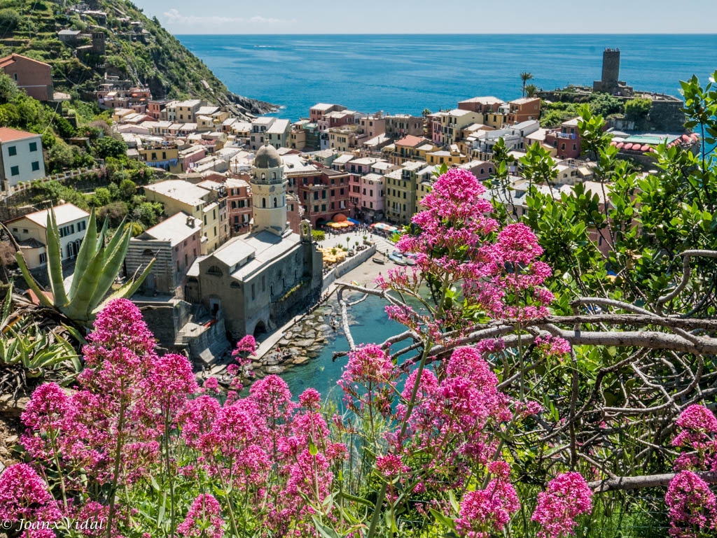 VERNAZZA A LA VISTA