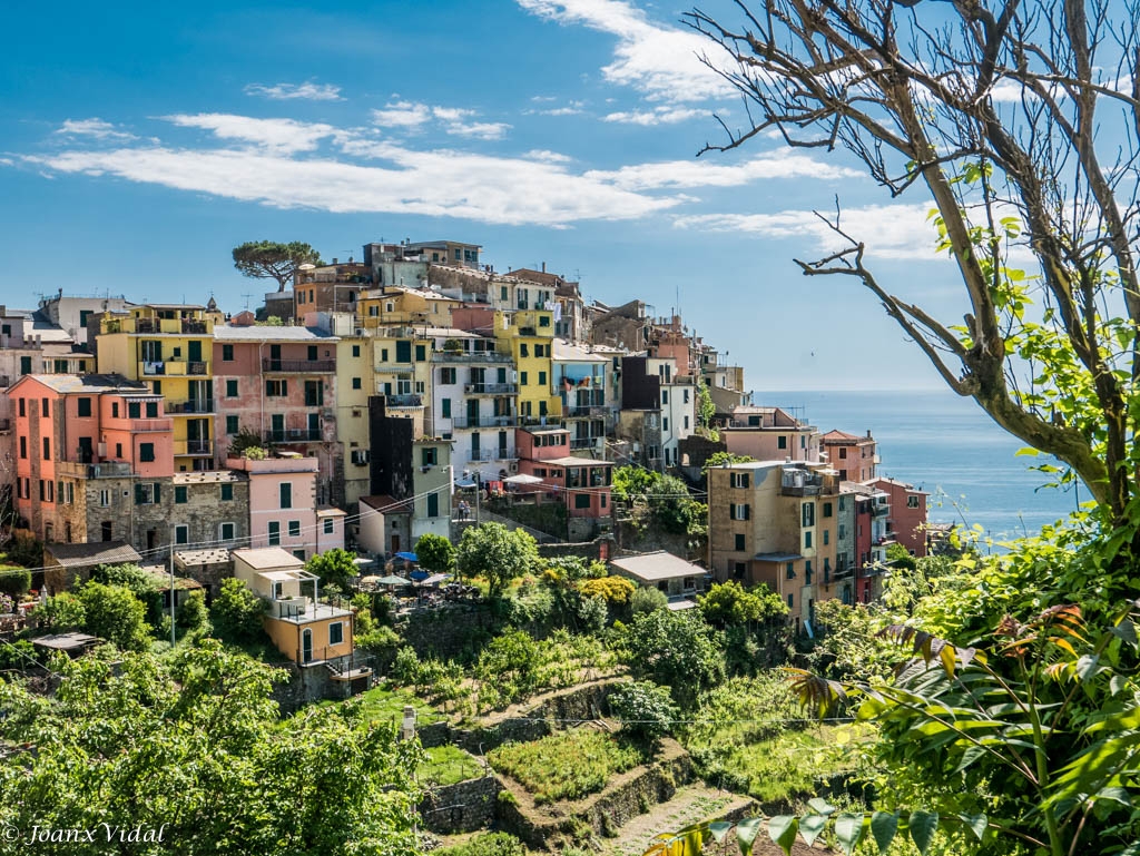 CORNIGLIA